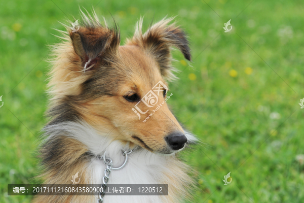 網(wǎng)絡(luò)日志本