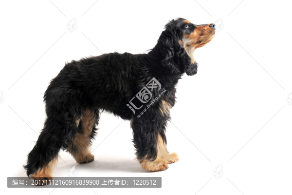 網(wǎng)絡(luò)日志本
