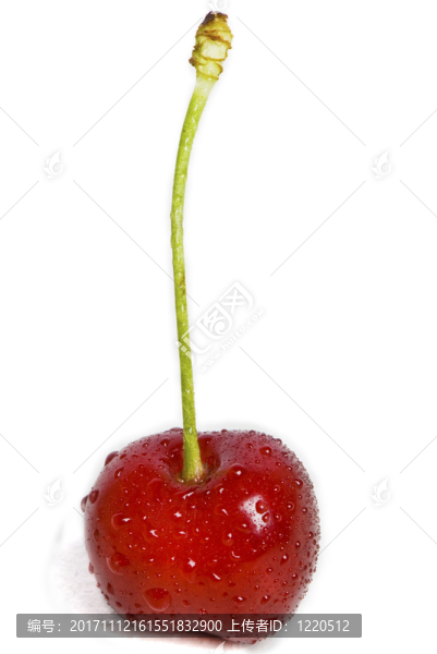 食物