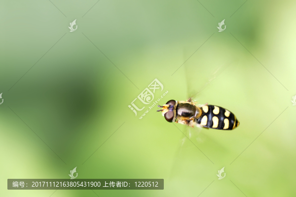 特寫鏡頭
