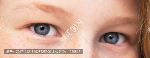 美麗的