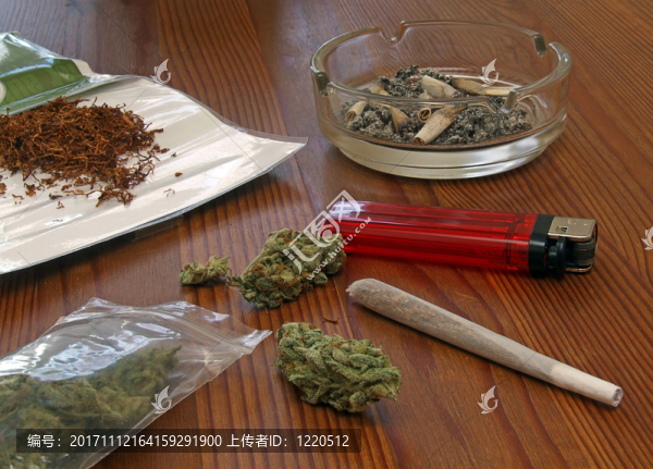 大麻