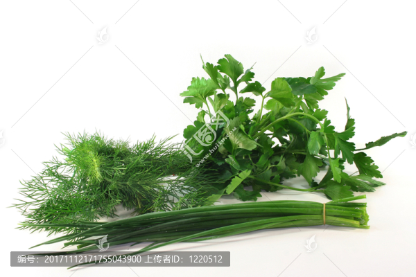 西芹