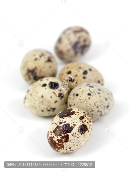 食物