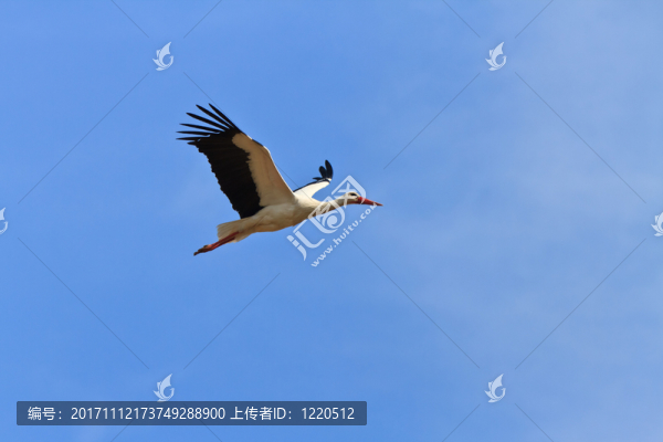 藍色