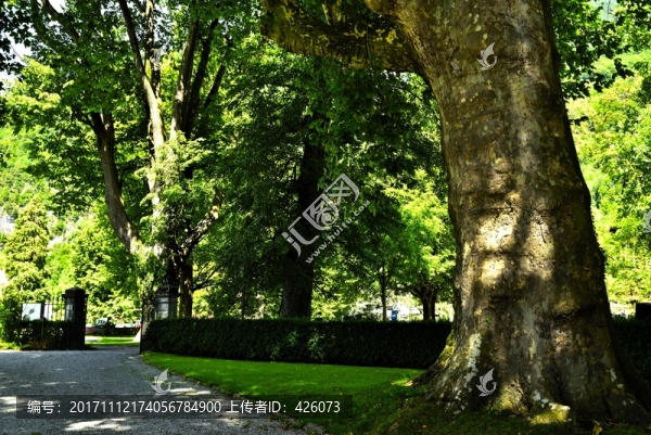綠地公園