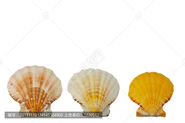 三個炮彈