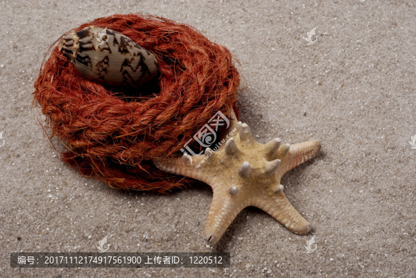 在海沙上的海上