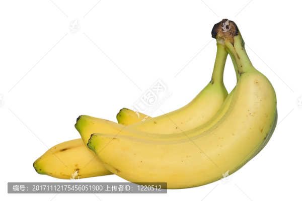 食物