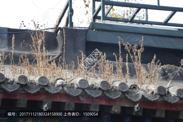 四合院