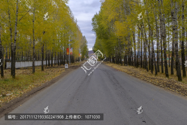 秋日公路