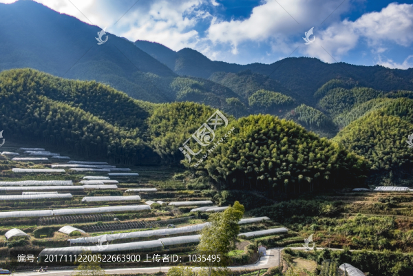 田園風(fēng)光