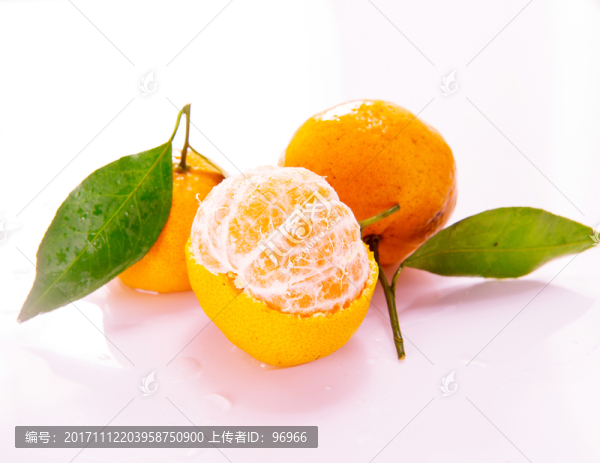 八月桔,蜜桔,桔子,水果,果園