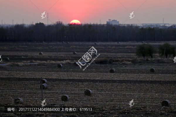 農(nóng)田,秸稈捆,大草卷,夕陽