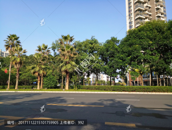 深圳龍崗新城