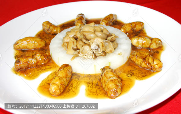 魷魚