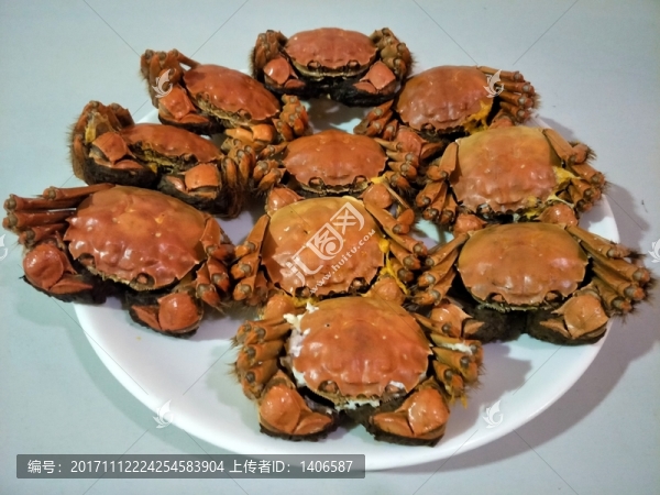 陽澄湖大閘蟹