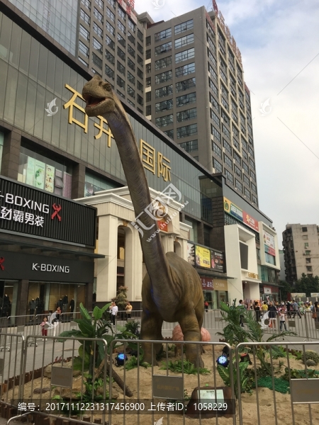 巨型長頸恐龍模型