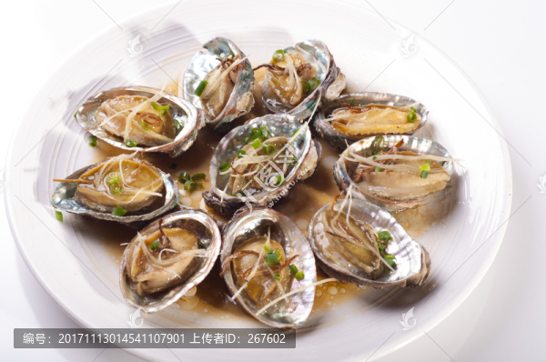 鮑魚