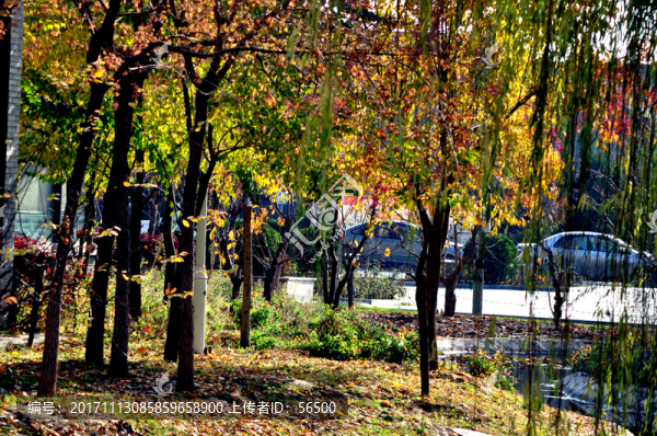 仁壽山公園秋色