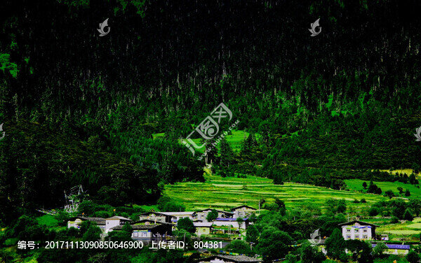 西藏魯朗風(fēng)光