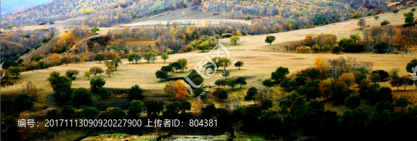 木蘭圍場壩上秋色