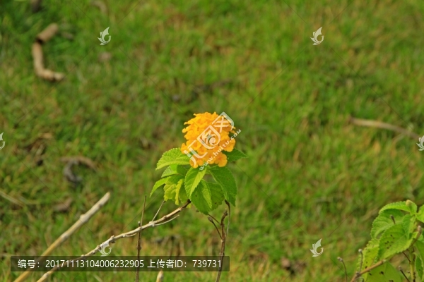 高雄市