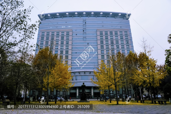 銀杏