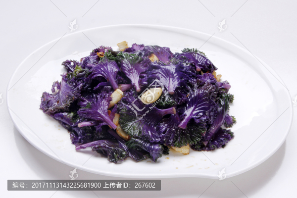 紫菜