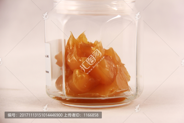 特種潤滑脂雪油汽車天窗齒輪油