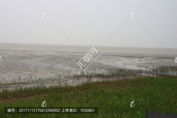 長江邊濕地