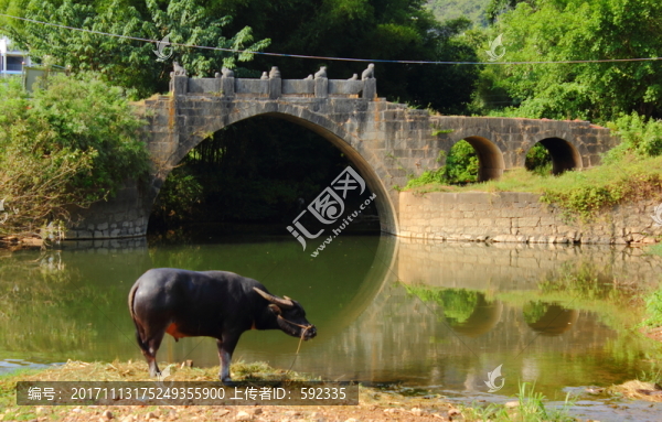 石橋