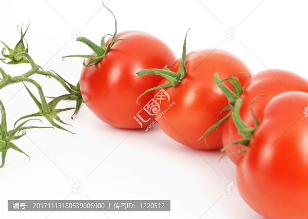 美麗的