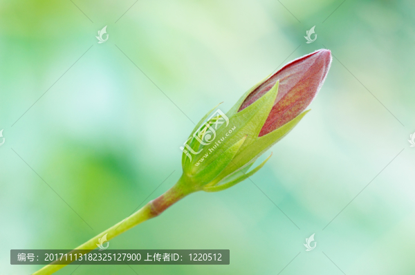 象征的
