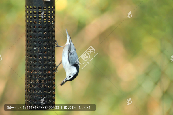 公園