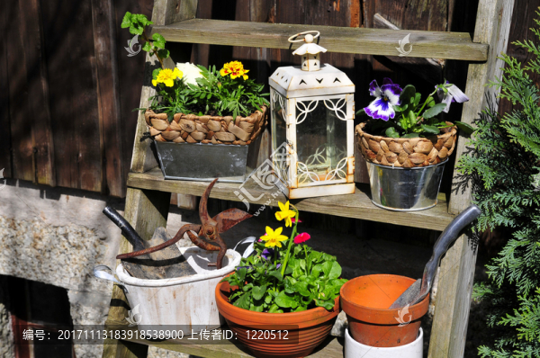 ？花盆小屋