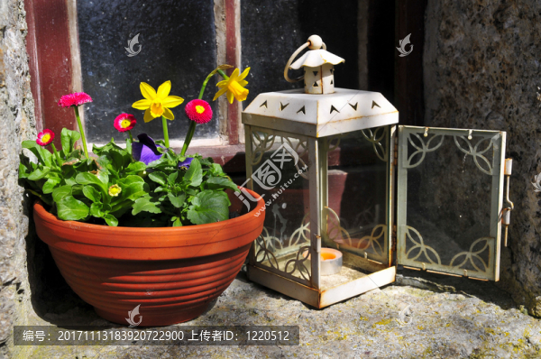 花園