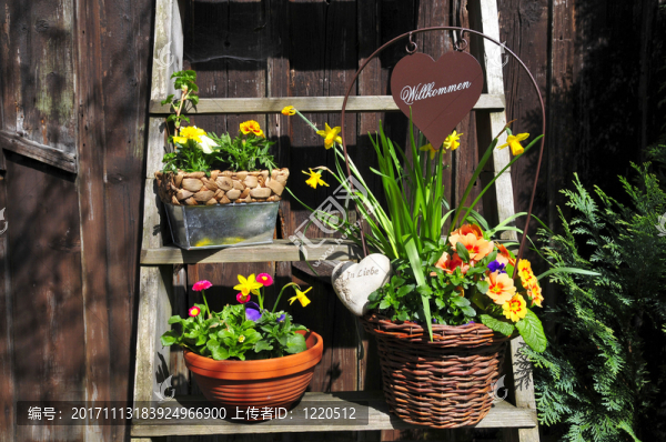 ？花盆小屋