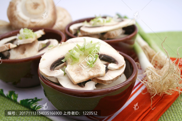 白蘑菇