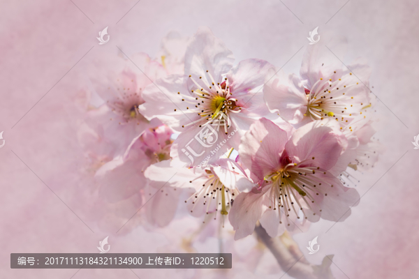 緊密的