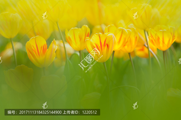 現(xiàn)在的