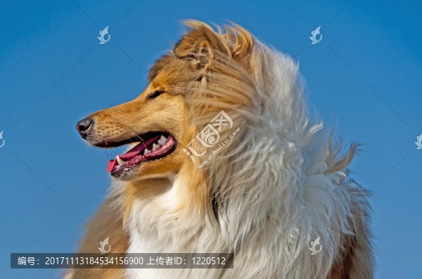 咽鼓管異常開(kāi)放
