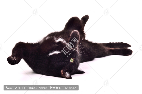 美麗的