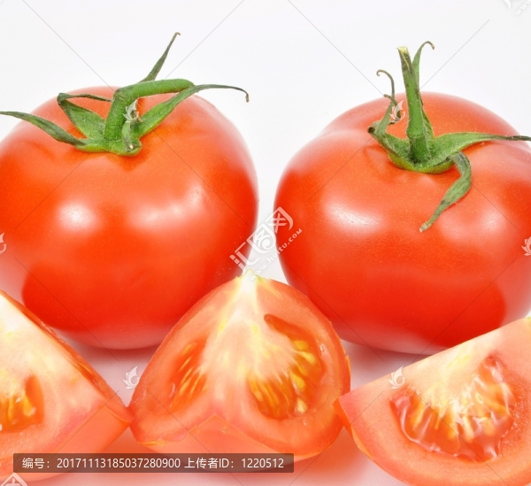 美麗的