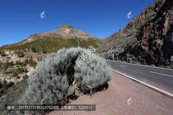 在泰德國家公園，特內(nèi)里費(fèi)島西班牙的山路