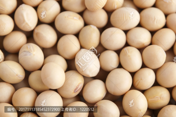 食物