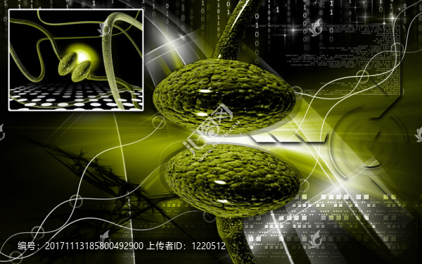 教育