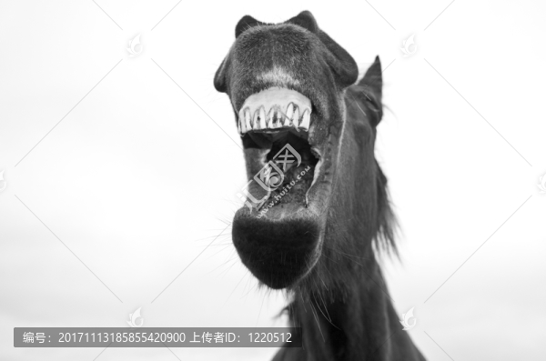 笑