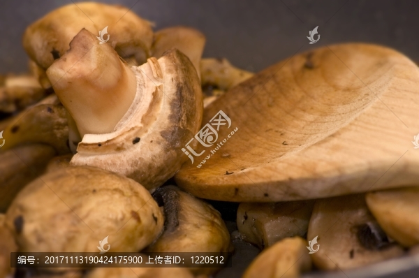 蘑菇