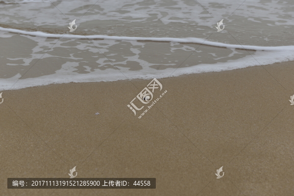 海洋